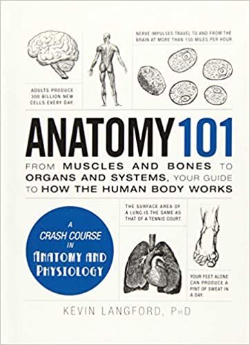 Anatomy 101: From Muscles and Bones to Organs and Systems, Your Guide to How the Human Body Works