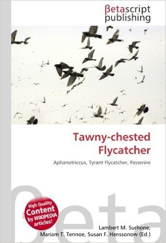 Tawny-Chested Flycatcher