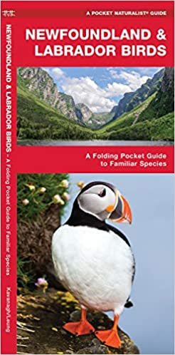 Newfoundland & Labrador Birds: A Folding Pocket Guide to Familiar Species (Pocket Naturalist Guides) (Wildlife and Nature Identification)