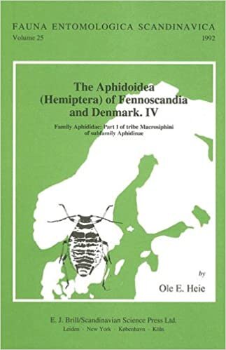indir The Aphidoidea (Hemiptera) of Fennoscandia and Denmark: Family Aphididae Volume 4: Family Aphididae - Tribe Macrosiphini of Subfamily Aphidinae (Fauna Entomologica Scandinavica Series)