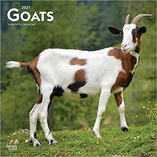 Goats - Ziegen 2021 - 16-Monatskalender: Original BrownTrout-Kalender [Mehrsprachig] [Kalender] (Wall-Kalender)