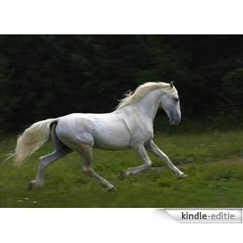 Heavy Horses 19 Olaf the Orlov Trotter (English Edition) [Kindle-editie]