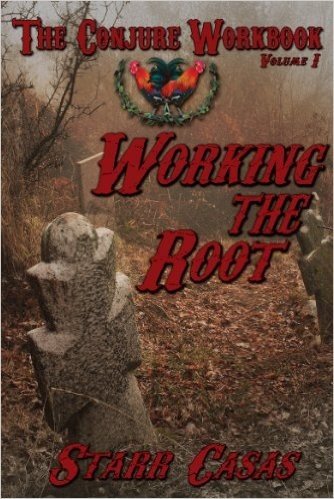 The Conjure Workbook Volume 1: Working the Root (English Edition) baixar
