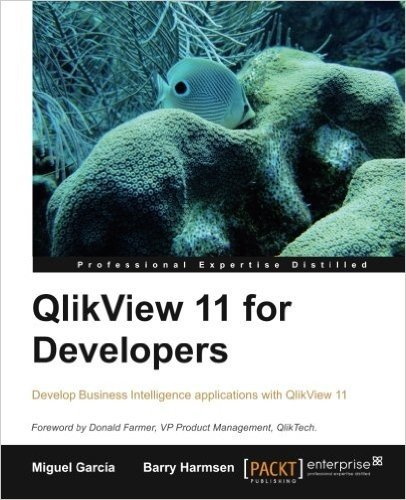 Qlikview 11 Developer's Guide baixar