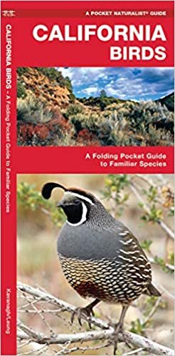 California Birds: A Folding Pocket Guide to Familiar Species (A Pocket Naturalist Guide)