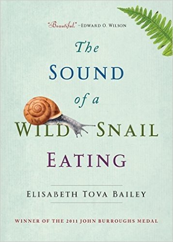 The Sound of a Wild Snail Eating baixar