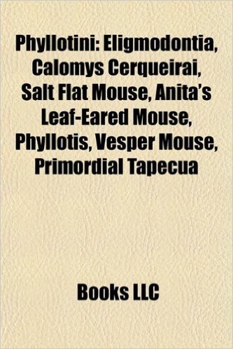 Phyllotini: Eligmodontia, Calomys Cerqueirai, Salt Flat Mouse, Anita's Leaf-Eared Mouse, Phyllotis, Vesper Mouse, Primordial Tapec