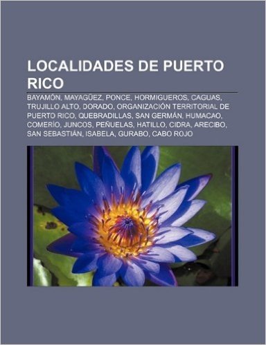 Localidades de Puerto Rico: Bayamon, Mayaguez, Ponce, Hormigueros, Caguas, Trujillo Alto, Dorado, Organizacion Territorial de Puerto Rico