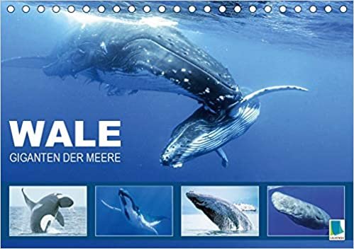 indir Wale: Giganten der Meere (Tischkalender 2020 DIN A5 quer): Pottwahl, Schwertwal, Buckelwal: In den Tiefen der Ozeane (Monatskalender, 14 Seiten ) (CALVENDO Tiere)