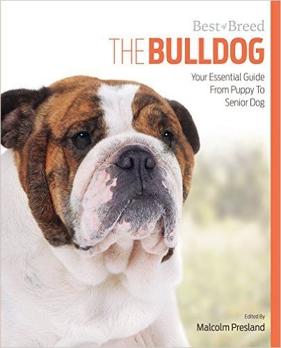 The Bulldog: Your Essential Guide from Puppy to Senior Dog