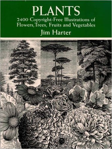 Plants: 2,400 Royalty-Free Illustrations of Flowers, Trees, Fruits and Vegetables (Dover Pictorial Archive)