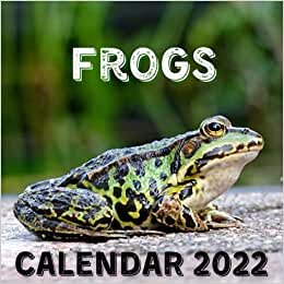 indir Frogs Calendar 2022: September 2021 - December 2022 Monthly Planner Mini Calendar With Inspirational Quotes