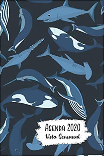 Agenda 2020 Vista Semanal: 12 Meses Programacion Semanal Calendario en Espanol Diseno Narval y Tiburón