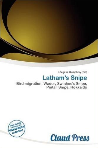 Latham's Snipe