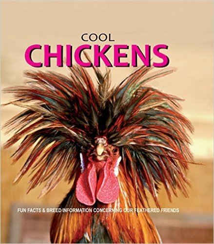 Cool Chickens