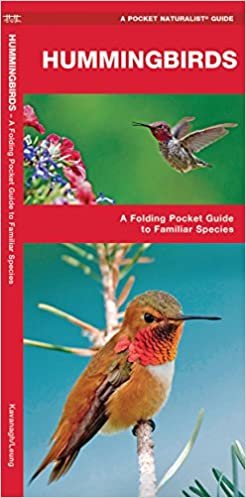 Hummingbirds: A Folding Pocket Guide to Familiar Species (Pocket Naturalist Guide Series)