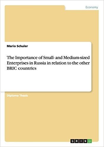 The Importance of Small- And Medium-Sized Enterprises in Russia in Relation to the Other Bric Countries
