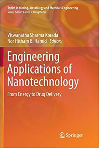 Engineering Applications of Nanotechnology: From Energy to Drug Delivery (Topics in Mining, Metallurgy and Materials Engineering)