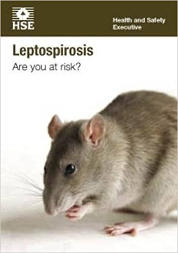 Leptospirosis: Are You at Risk? (INDG84) Pack of 15 (Industry guidance leaflet)