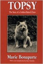Topsy: The Story of a Golden-Haired Chow