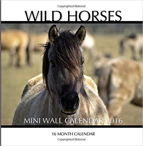 Wild Horses Mini Wall Calendar 2016 16 Month Calendar