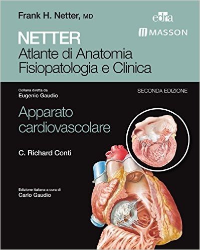 Atlante Di Anatomia Netter Italiano Pdf