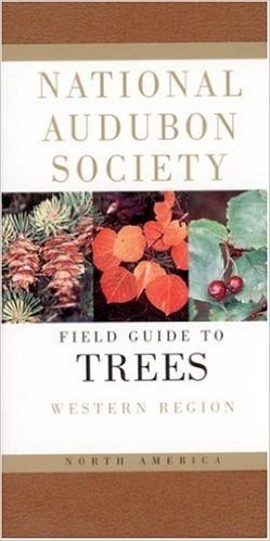 National Audubon Society Field Guide to North American Trees--W: Western Region