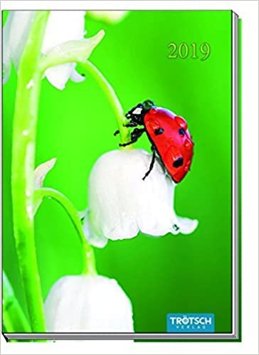 Taschenkalender 2019 Marienkäfer A6: Buchkalender Taschenterminer