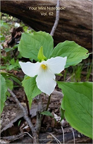 Your Mini Notebook! Vol. 62: The Beauty of the White Trillium Along the Forest Path baixar