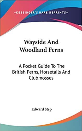 indir Wayside And Woodland Ferns: A Pocket Guide To The British Ferns, Horsetails And Clubmosses