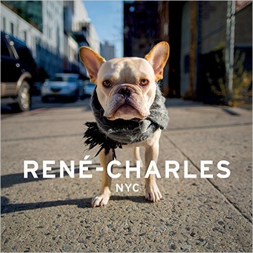 Rene-Charles: NYC: Little Bulldog in the Big City