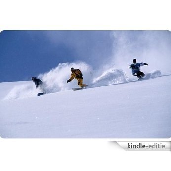 Snow Boarding Shop Store Start Up Sample Business Plan NEW! (English Edition) [Kindle-editie]