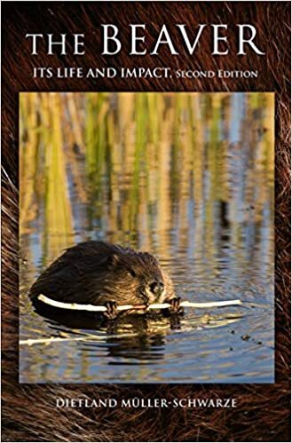 indir The Beaver: Natural History of a Wetlands Engineer