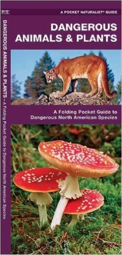 Dangerous Animals & Plants: An Introduction to Dangerous North American Species