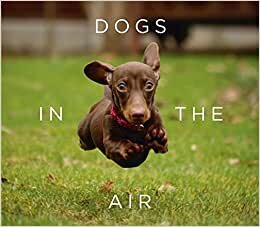 indir Dogs in the Air