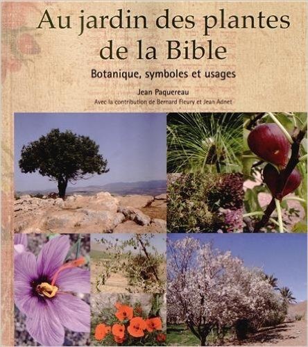 Au jardin des plantes de la bible. Botanique, symboles et usages.