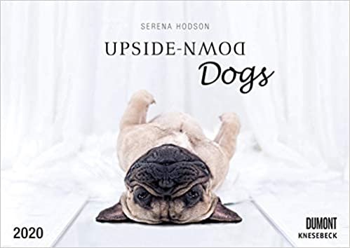Upside-Down Dogs/Hunde 2020 stehen Kopf