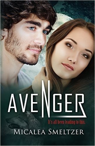 Avenger: Volume 4 (Outsider Series) by Micalea Smeltzer (2014-03-10)
