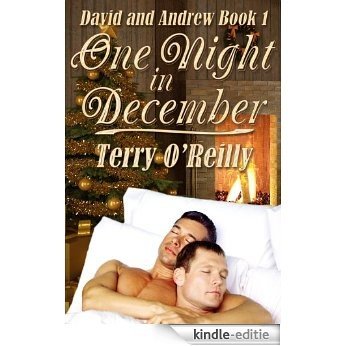 David and Andrew Book 1: One Night in December (English Edition) [Kindle-editie]
