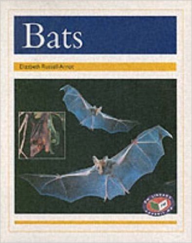 PM Non-Fiction - Gold Level Nocturnal Animals Bats (X6)