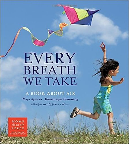 Every Breath We Take: A Book about Air