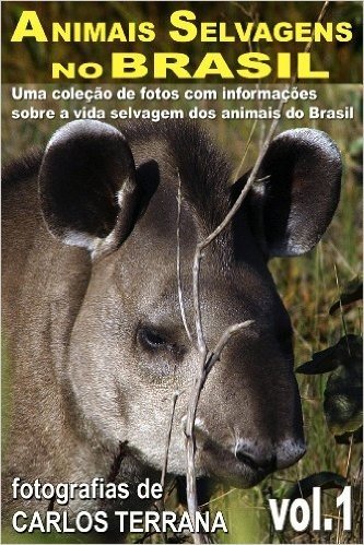 ANIMAIS SELVAGENS NO BRASIL - uma coleção de fotografias com informações sobre a vida e costumes dos animais brasileiros - VOL.1