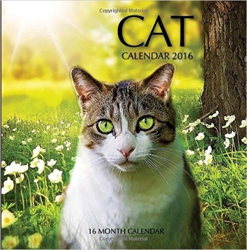 Cat Calendar 2016: 16 Month Calendar