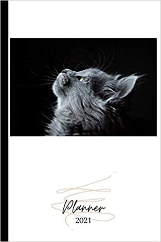 indir 2021 PLANNER: &quot;CAT&quot;. 150 pages. Weekly. Annual and monthly calendar. Timetable. January to December 2021. 6&#39;x 9&#39;.