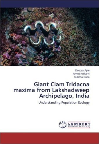 Giant Clam Tridacna Maxima from Lakshadweep Archipelago, India