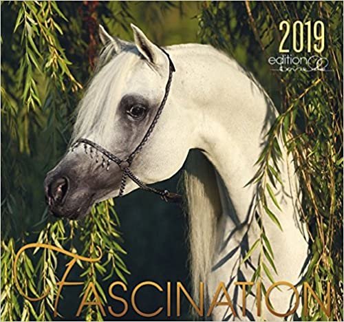 Fascination 2019: Arabische Pferde