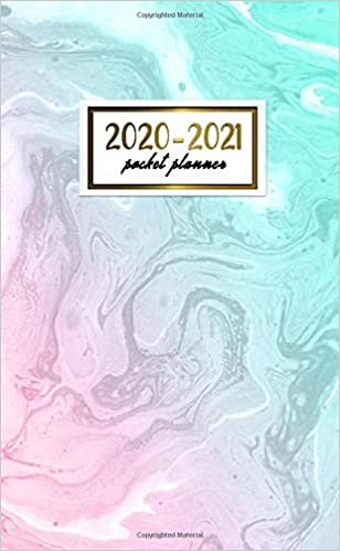 indir 2020-2021 Pocket Planner: Cute Two-Year (24 Months) Monthly Pocket Planner &amp; Agenda | 2 Year Organizer with Phone Book, Password Log &amp; Notebook | Fantasy Turquoise &amp; Pink Watercolor Pattern