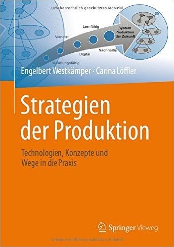 Strategien Der Produktion: Technologien, Konzepte Und Wege in Die Praxis