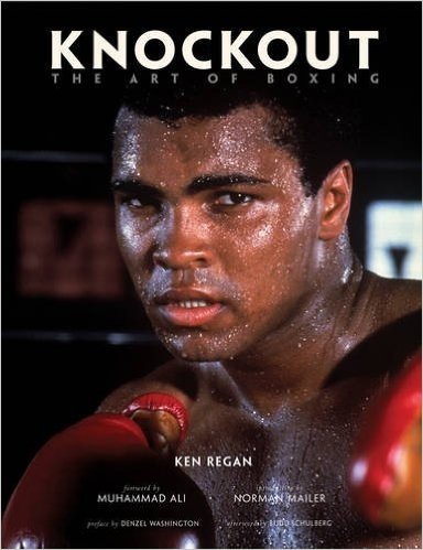 Knockout: The Art of Boxing
