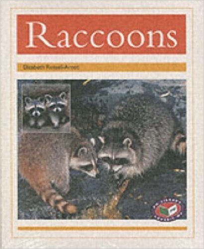 PM Non-Fiction - Gold Level Nocturnal Animals Racoons (X6)